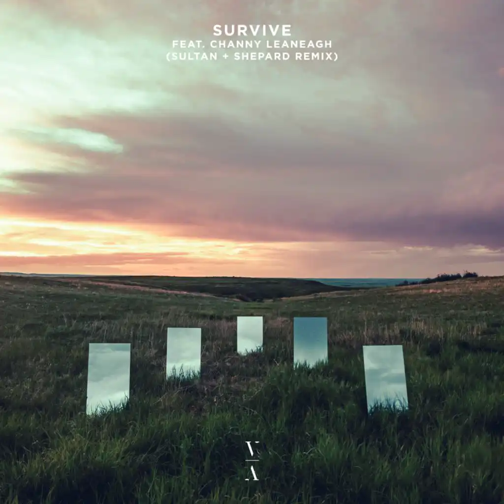 Survive (Sultan + Shepard Remix) [feat. Channy Leaneagh]