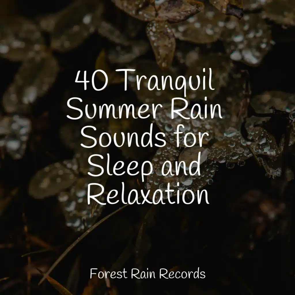 40 Tranquil Summer Rain Sounds for Sleep and Relaxation