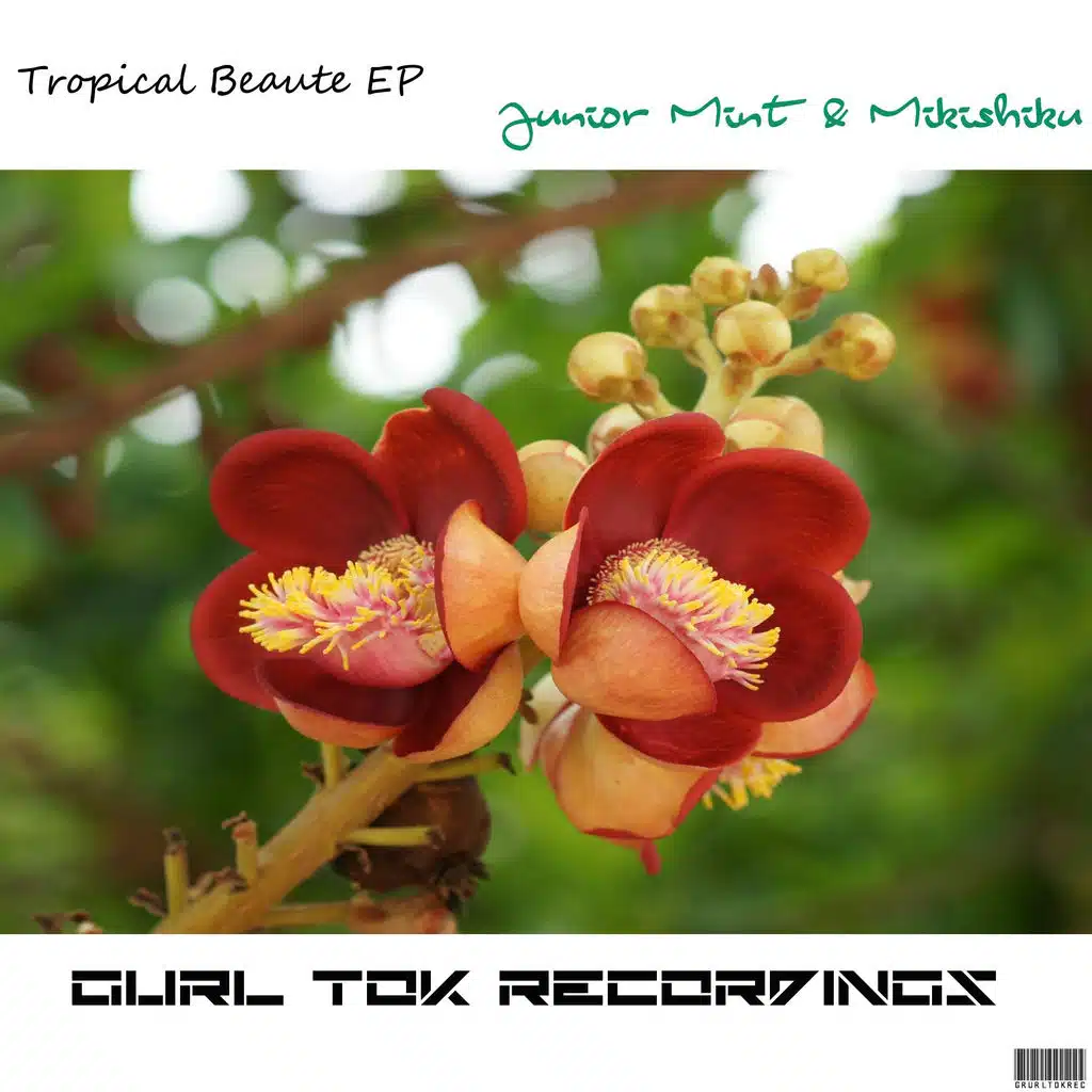 Tropical Beauté EP