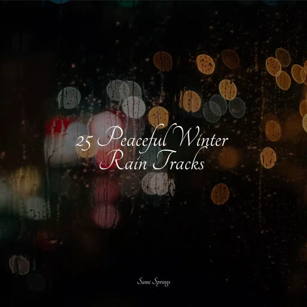 25 Peaceful Winter Rain Tracks