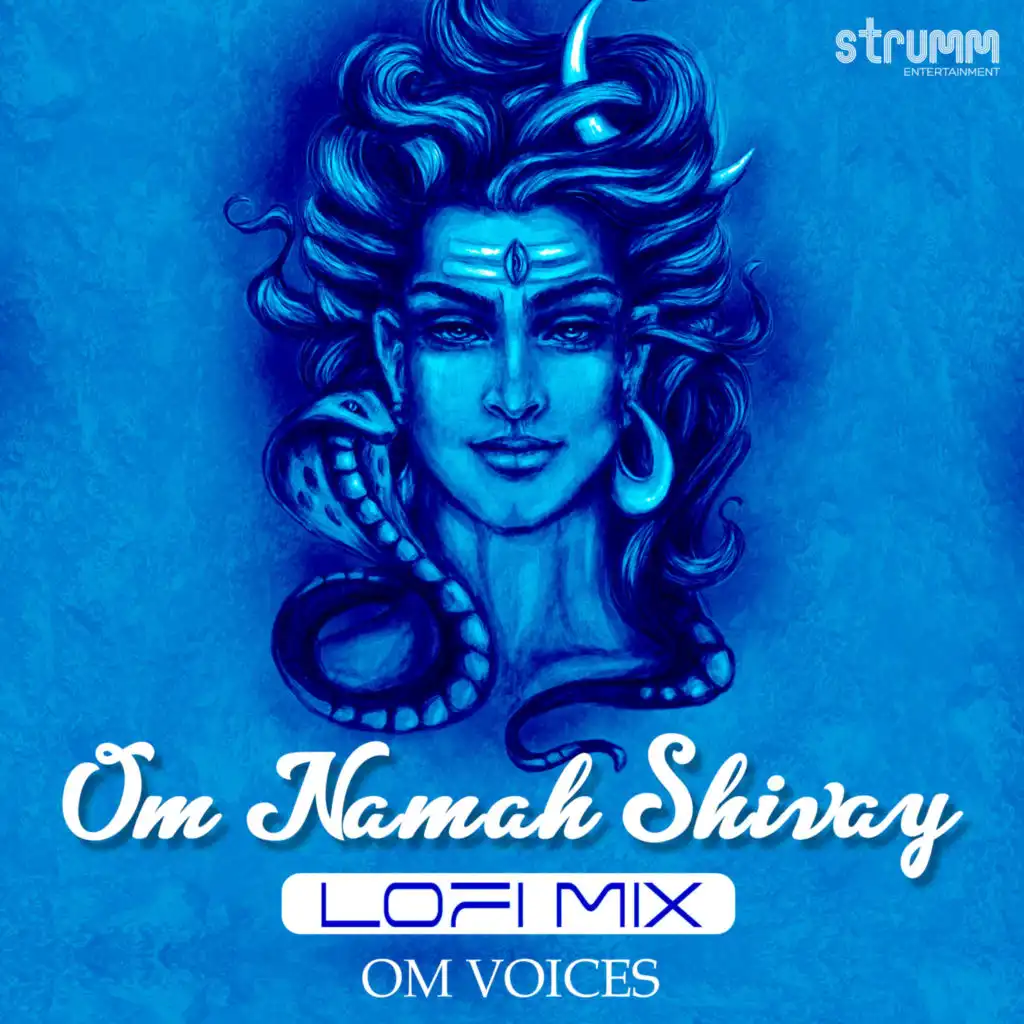 Om Namah Shivay (Lofi Mix)