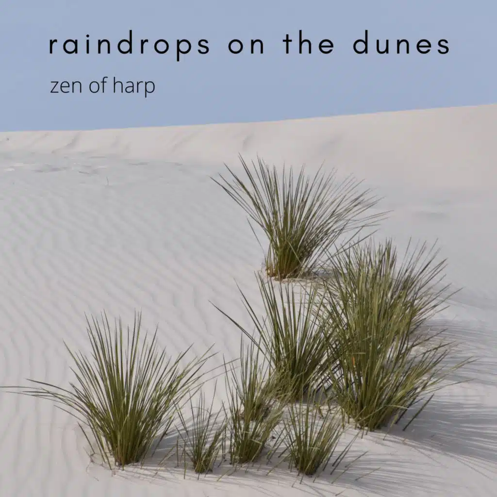 Raindrops on the Dunes