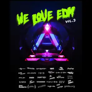 We Love EDM (2015), Vol. 2