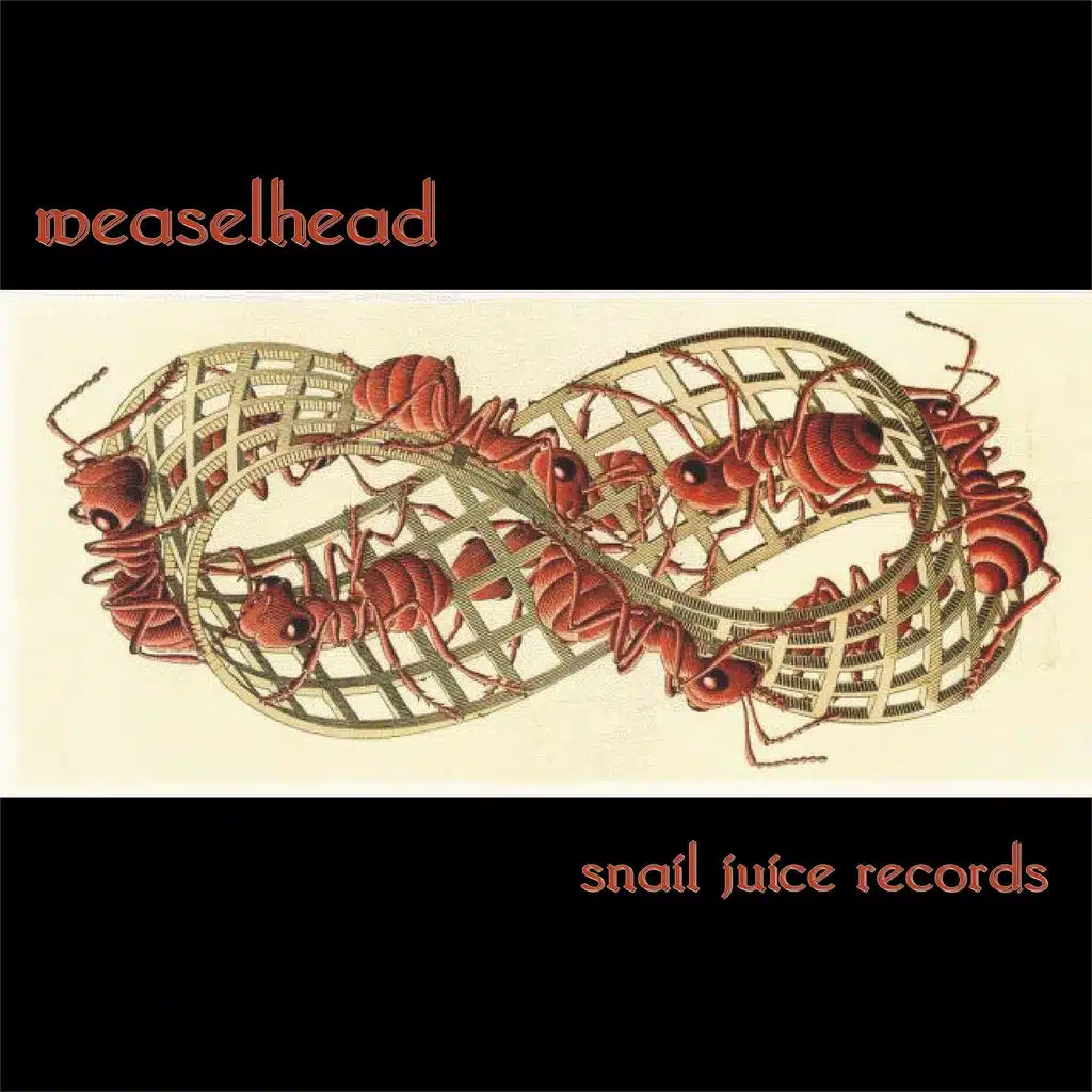 Weaselhead