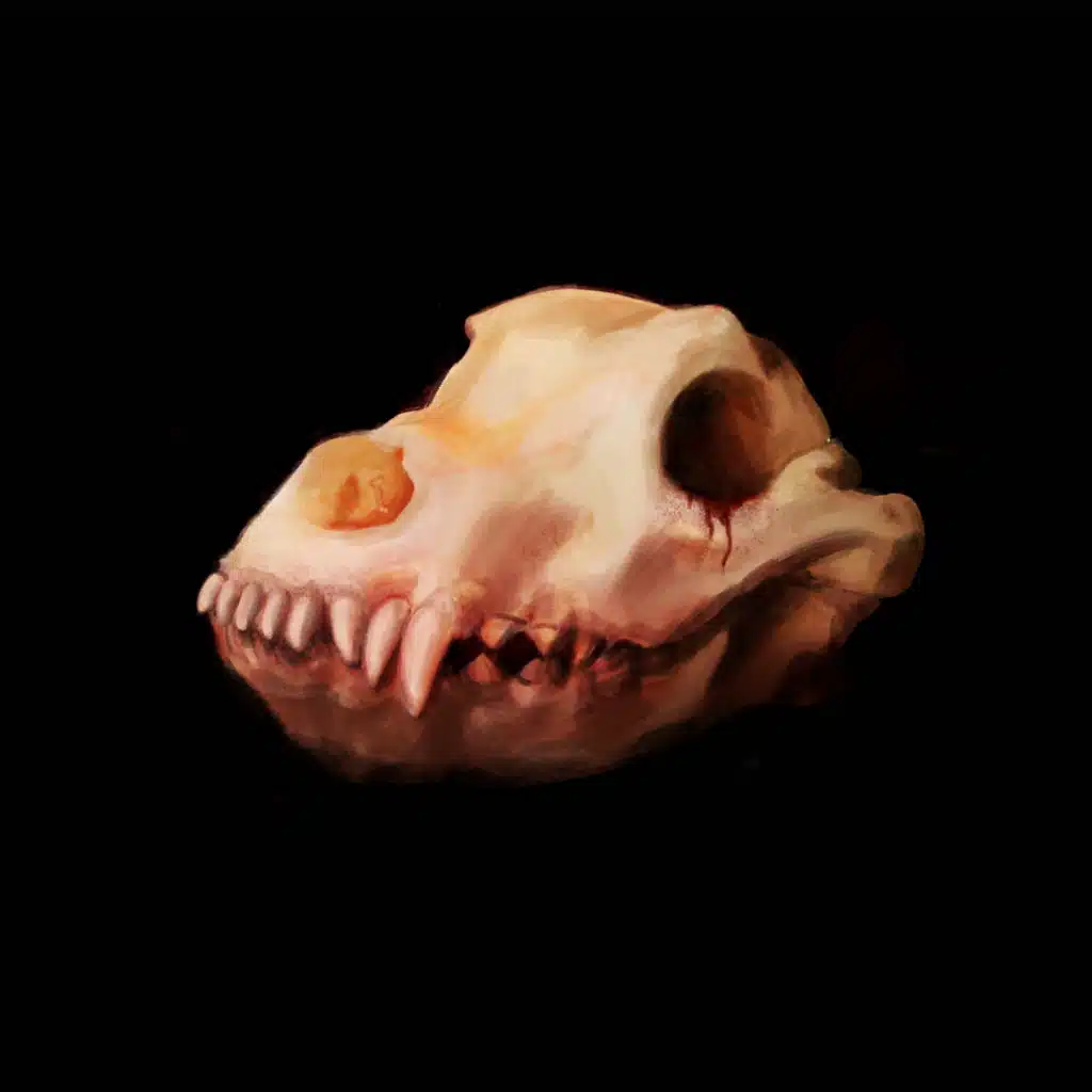 Hurtta