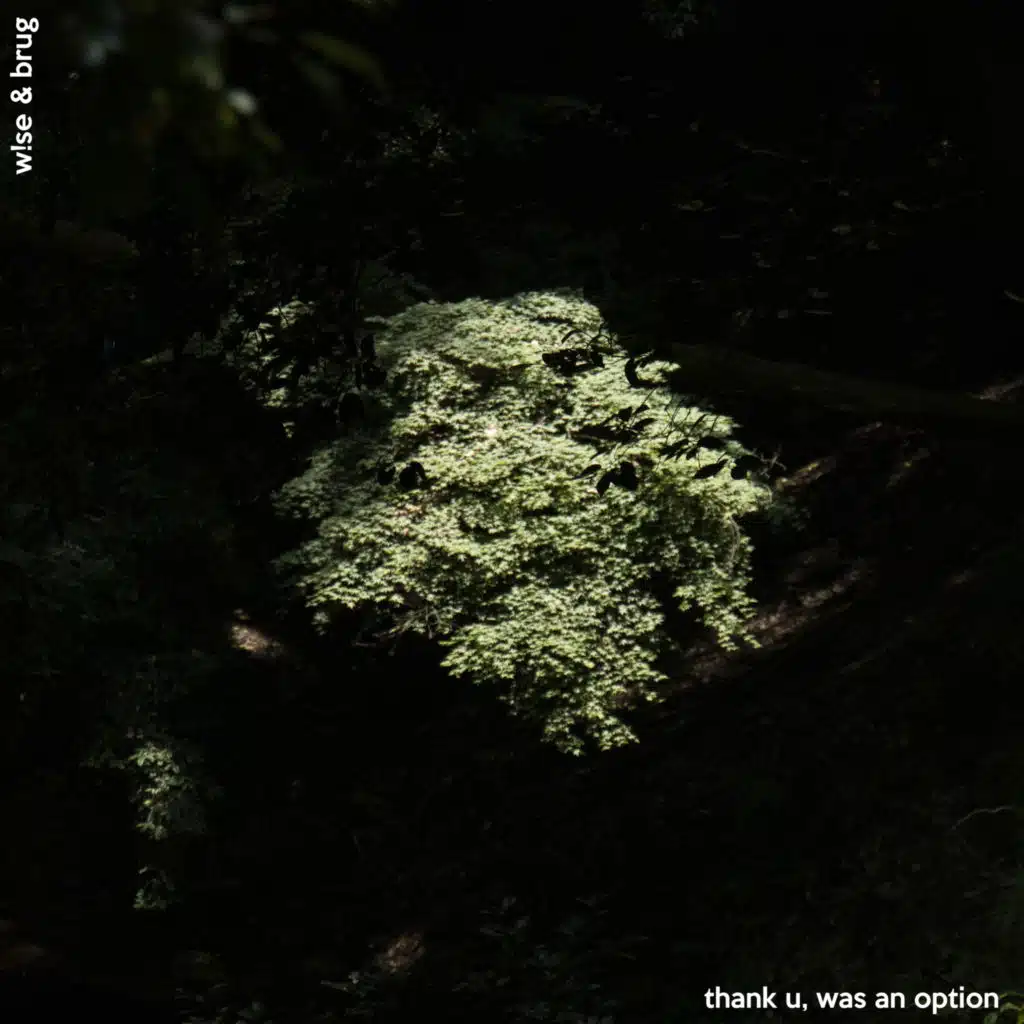 thank u, was an option