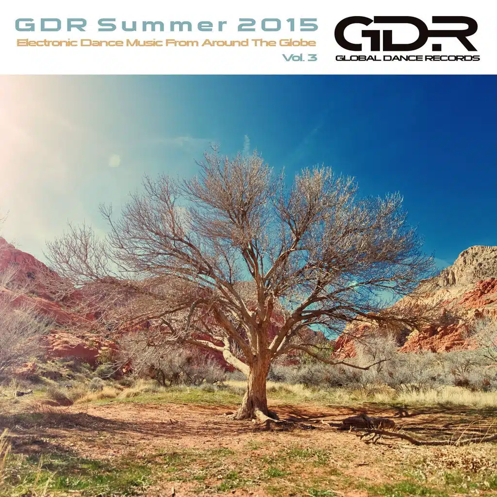 GDR Summer 2015, Vol. 3