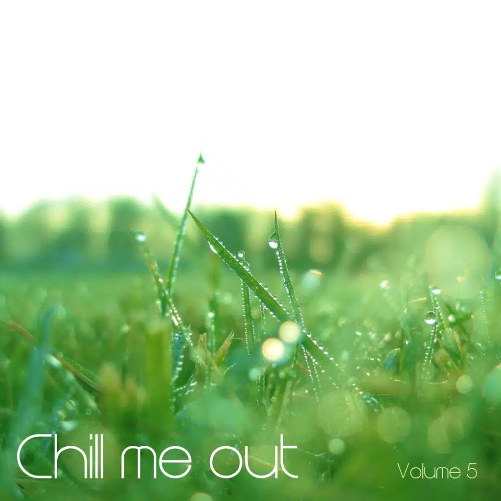 Chill Me Out, Vol. 5