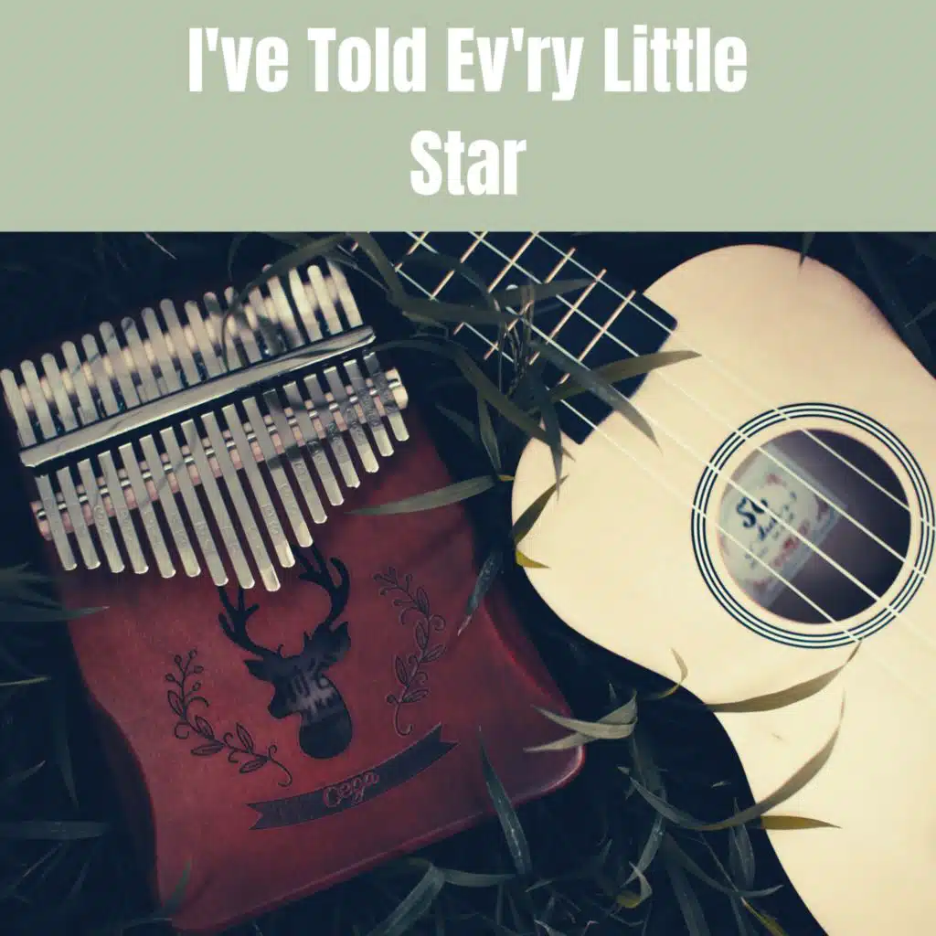 I've Told Ev'ry Little Star