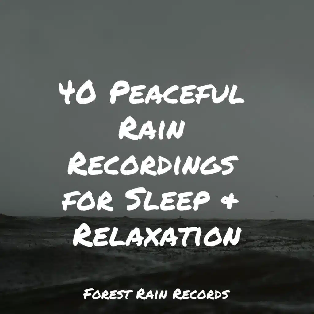 40 Peaceful Rain Recordings for Sleep & Relaxation