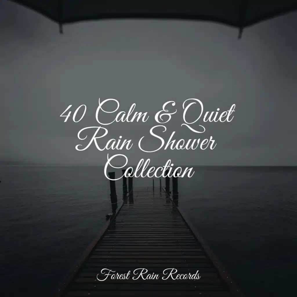 40 Calm & Quiet Rain Shower Collection