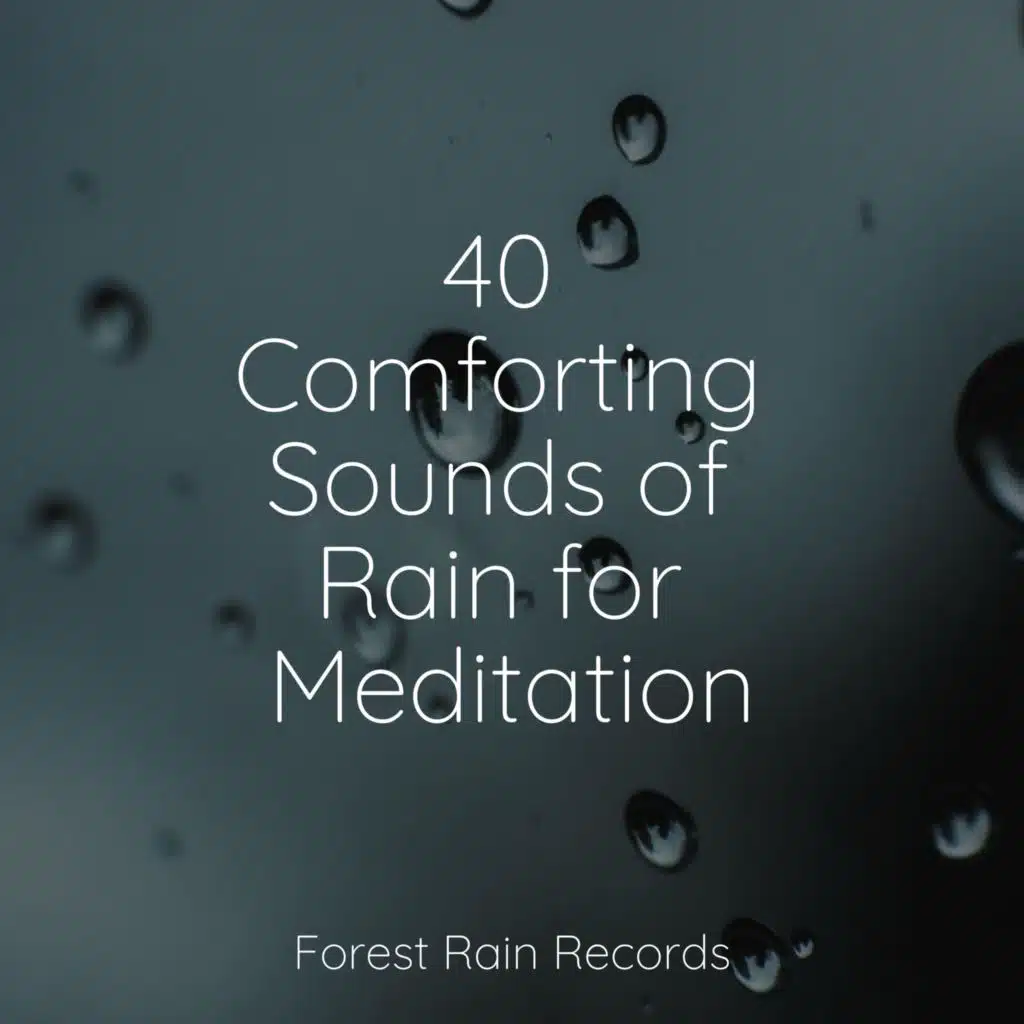 40 Comforting Sounds of Rain for Meditation