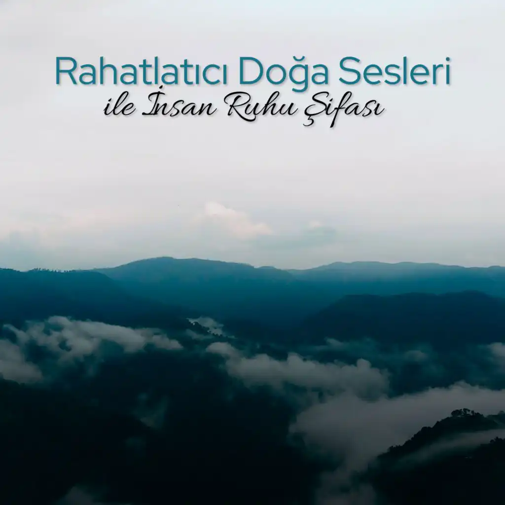 Rahatlatıcı Doğa Sesleri ile İnsan Ruhu Şifası (Derin Stres Giderici)