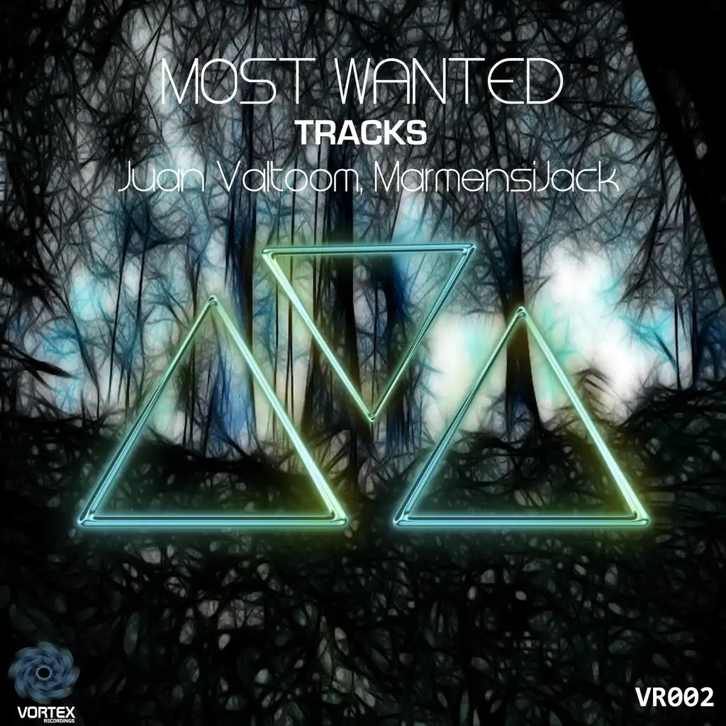 Most Wanted, Vol. 2