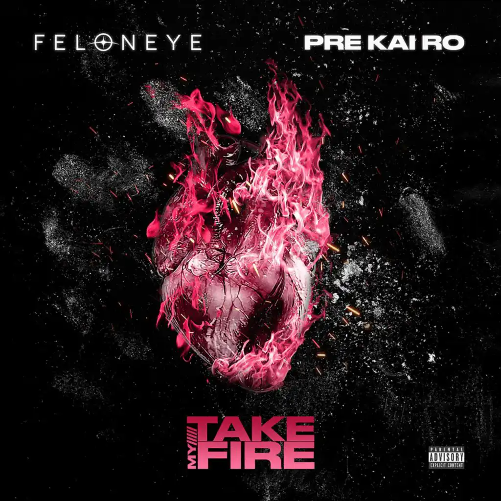 Take My Fire (feat. pre kai ro)