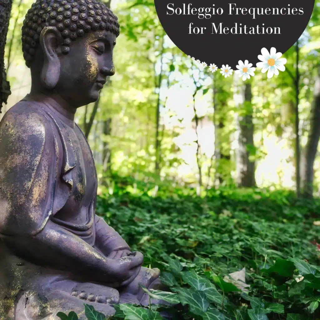 Melvin Meditation Archive