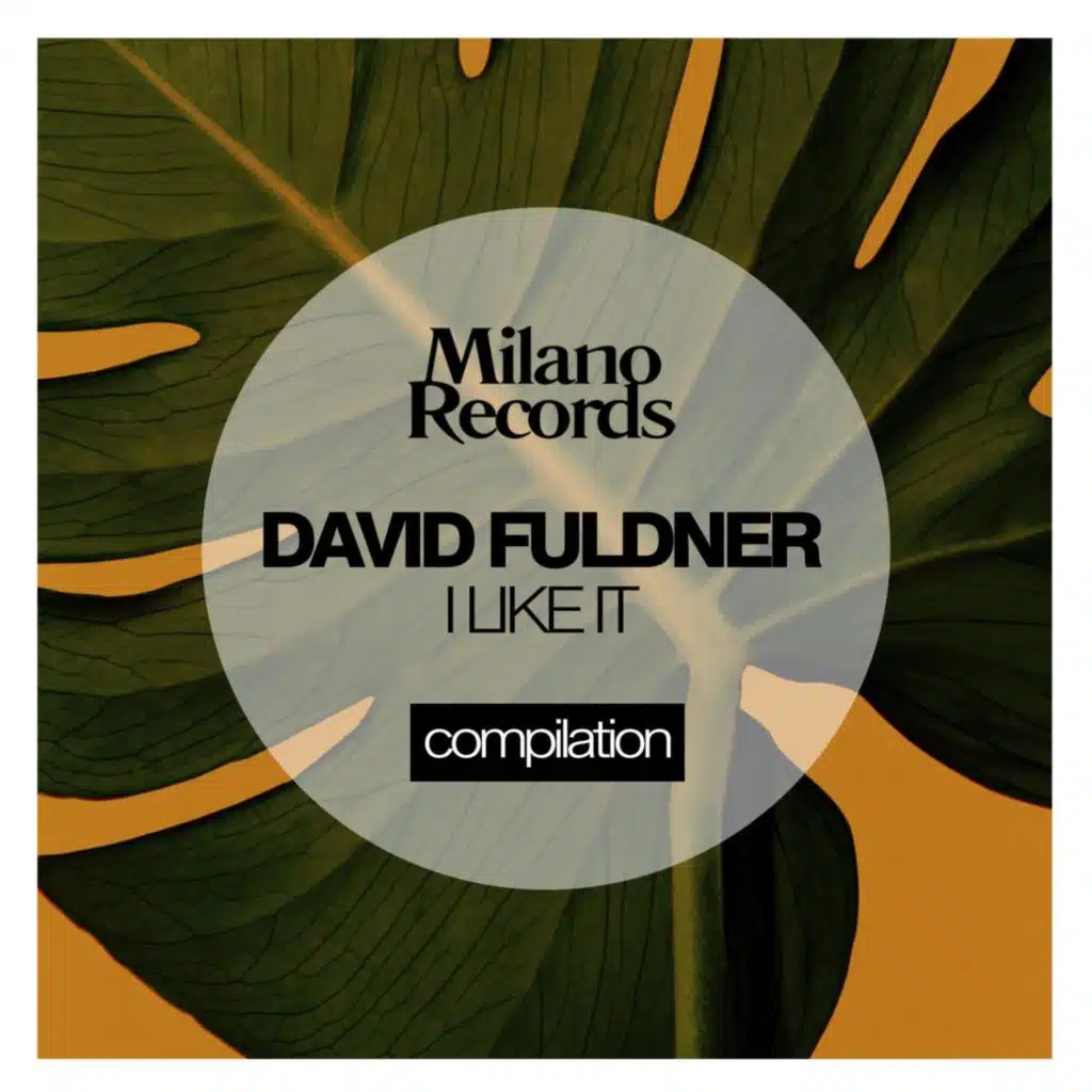 David Fuldner