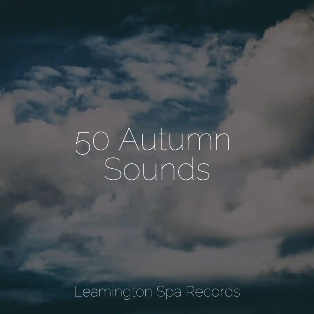 50 Autumn Sounds