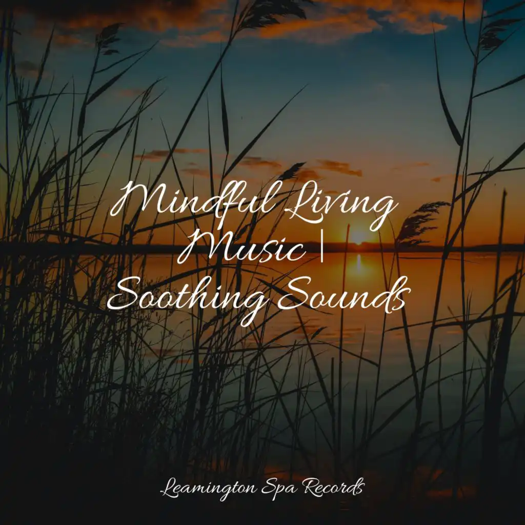 Mindful Living Music | Soothing Sounds