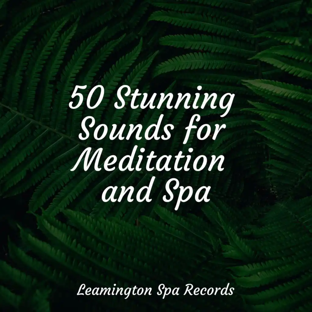 50 Stunning Sounds for Meditation and Spa