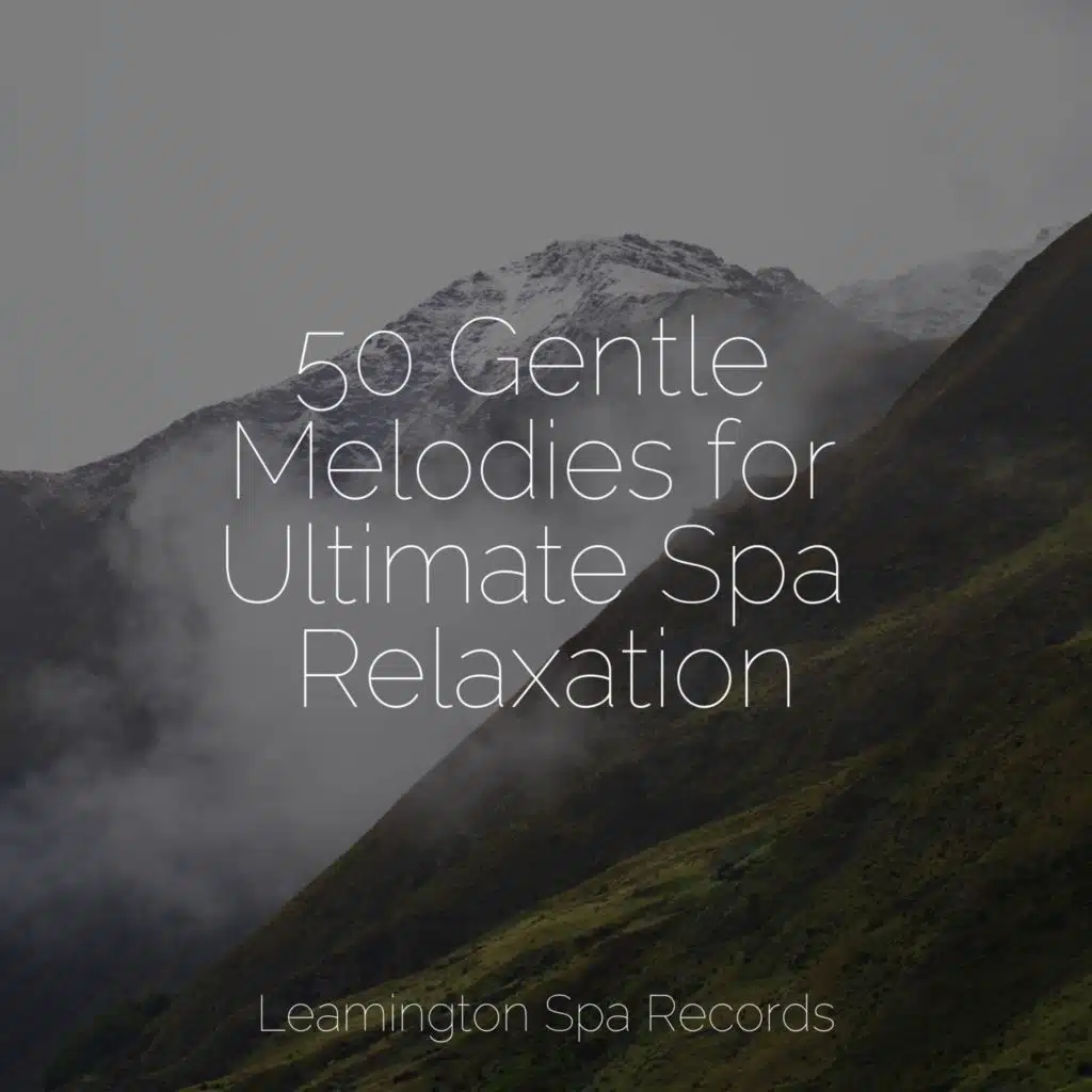 50 Gentle Melodies for Ultimate Spa Relaxation