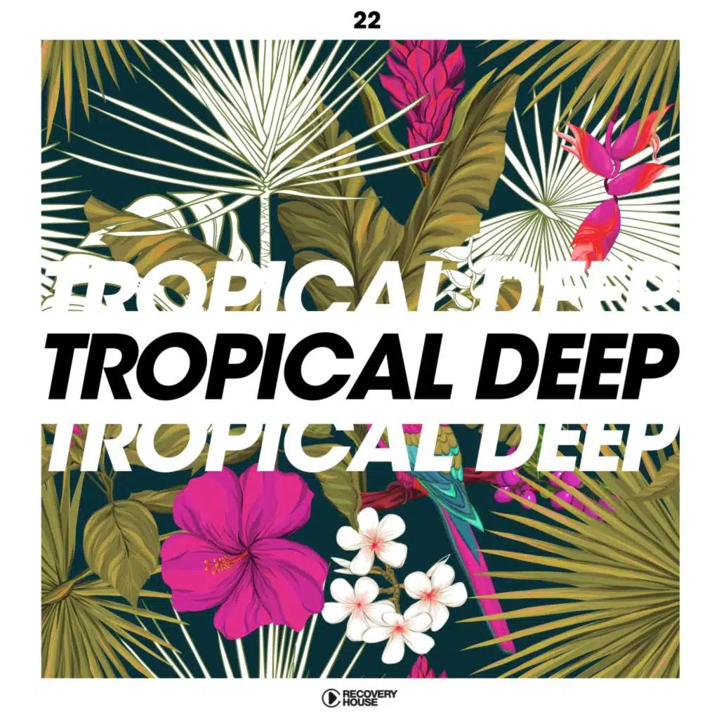 Tropical Deep, Vol. 22