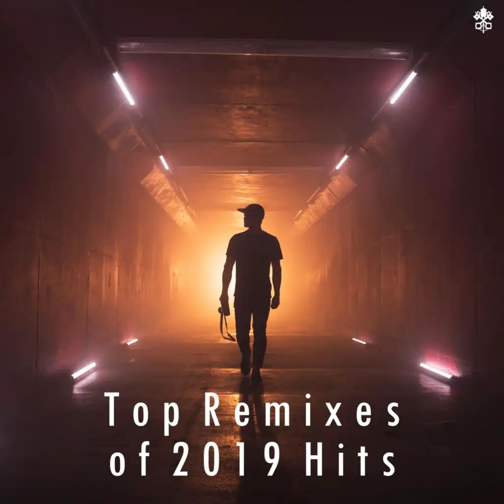 Top Remixes of 2019 Hits