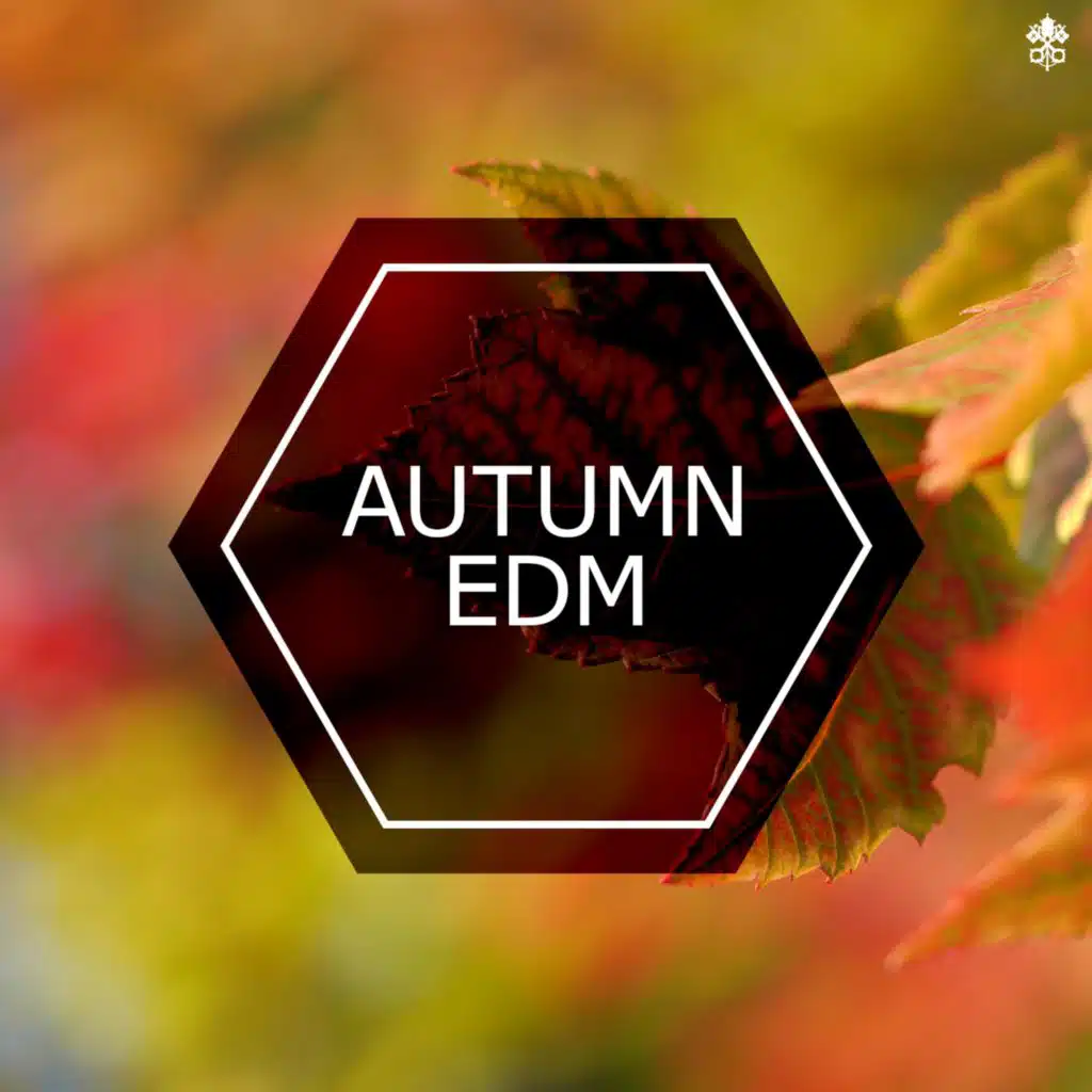 Marcel & Riky Piolotto