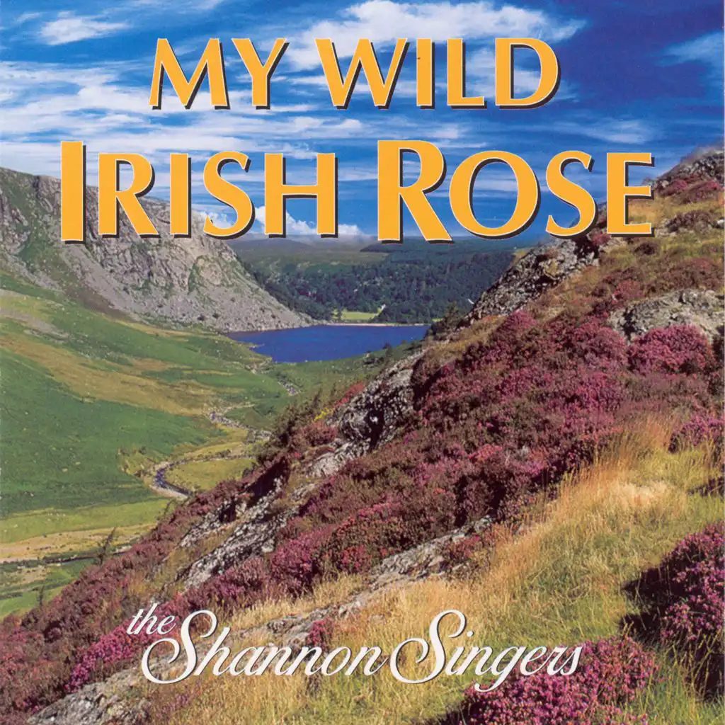 My Wild Irish Rose