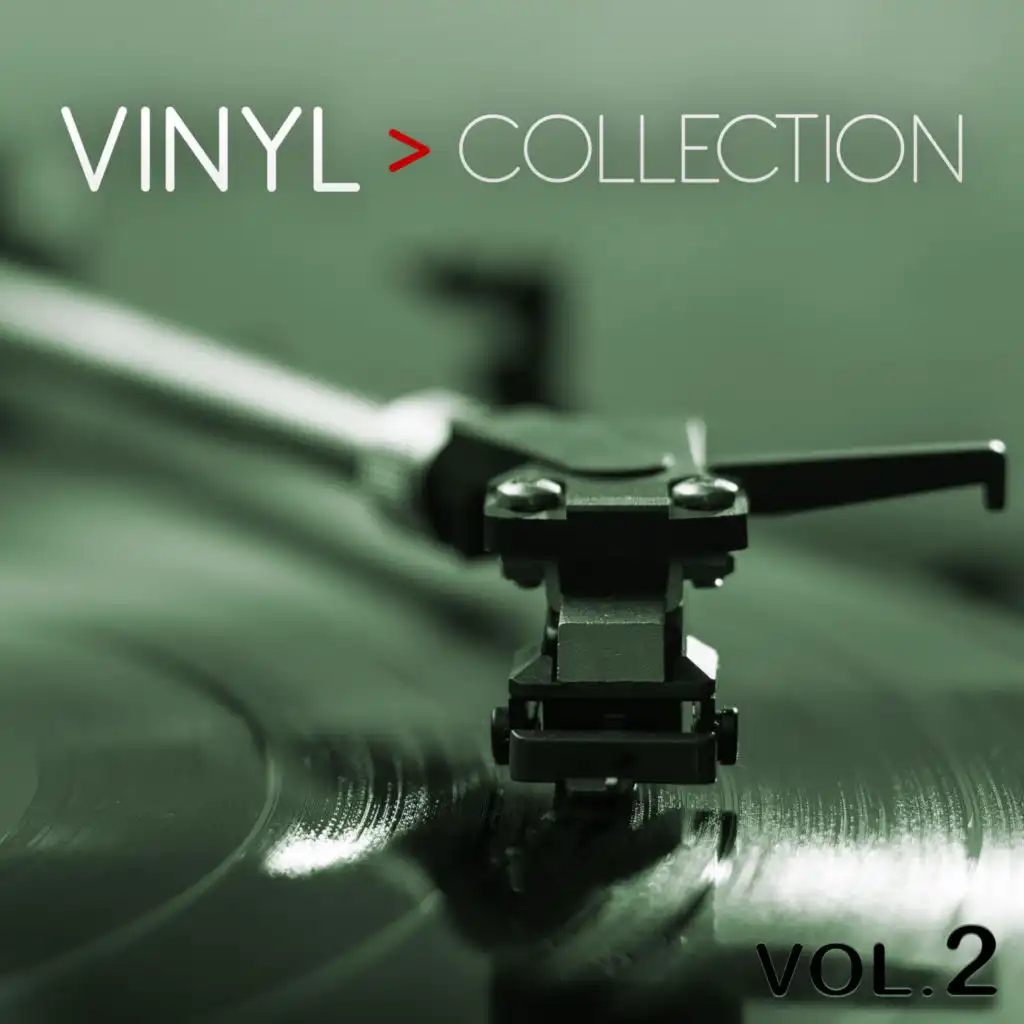 Vinyl Collection Vol.2