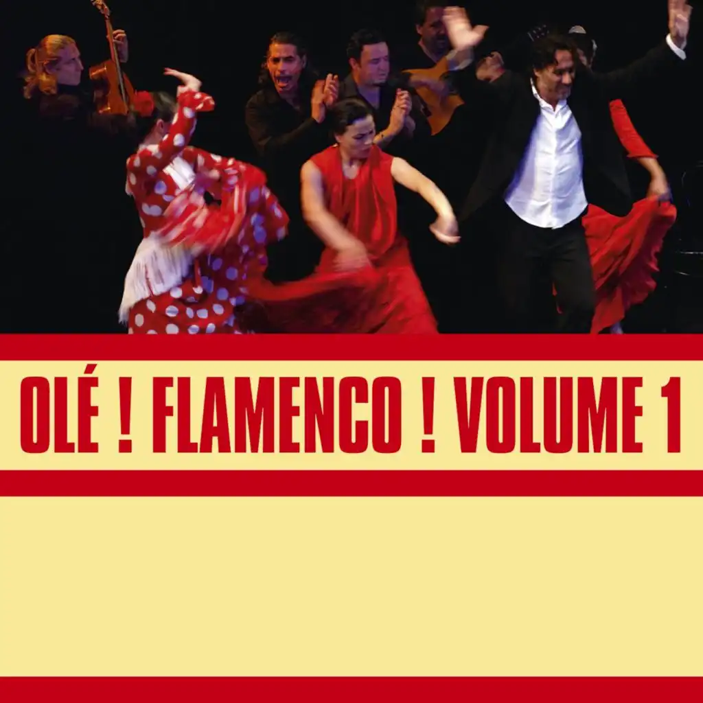 Olé! Flamenco!, Vol. 1