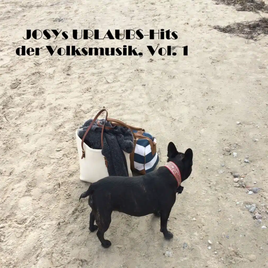 Josys URLAUB-Hits der Volksmusik, Vol. 1