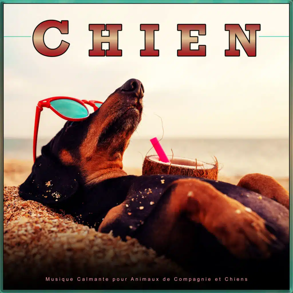 Musique Calmante Pour Chiens, Musique D'Endormissement Pour Chiens & Musique Pour Chiens