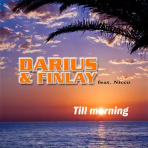 Till Morning (Niklas Gustavsson Remix Edit) [ft. Nicco]