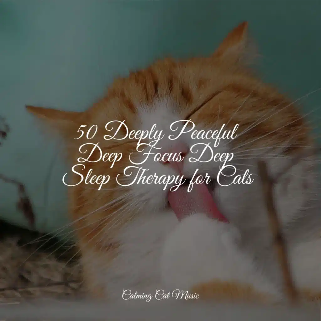 50 Deeply Peaceful Deep Focus Deep Sleep Therapy for Cats