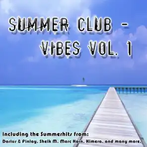 Summer Club Vibes Vol 1