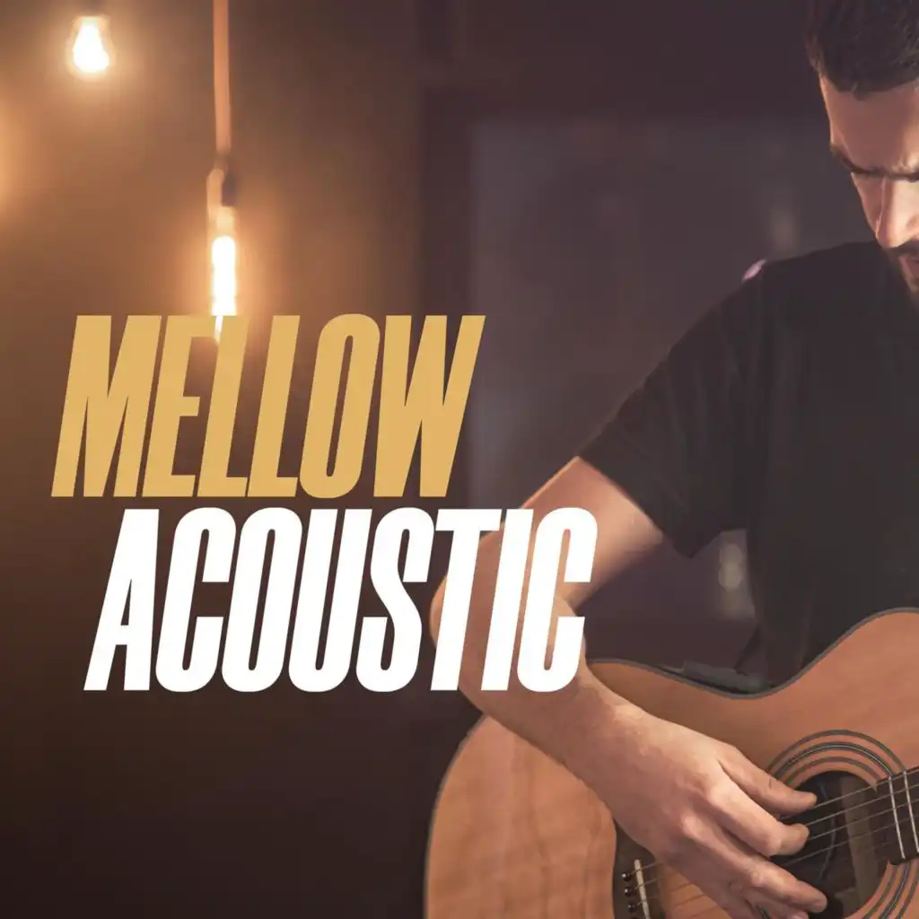 Mellow Acoustic