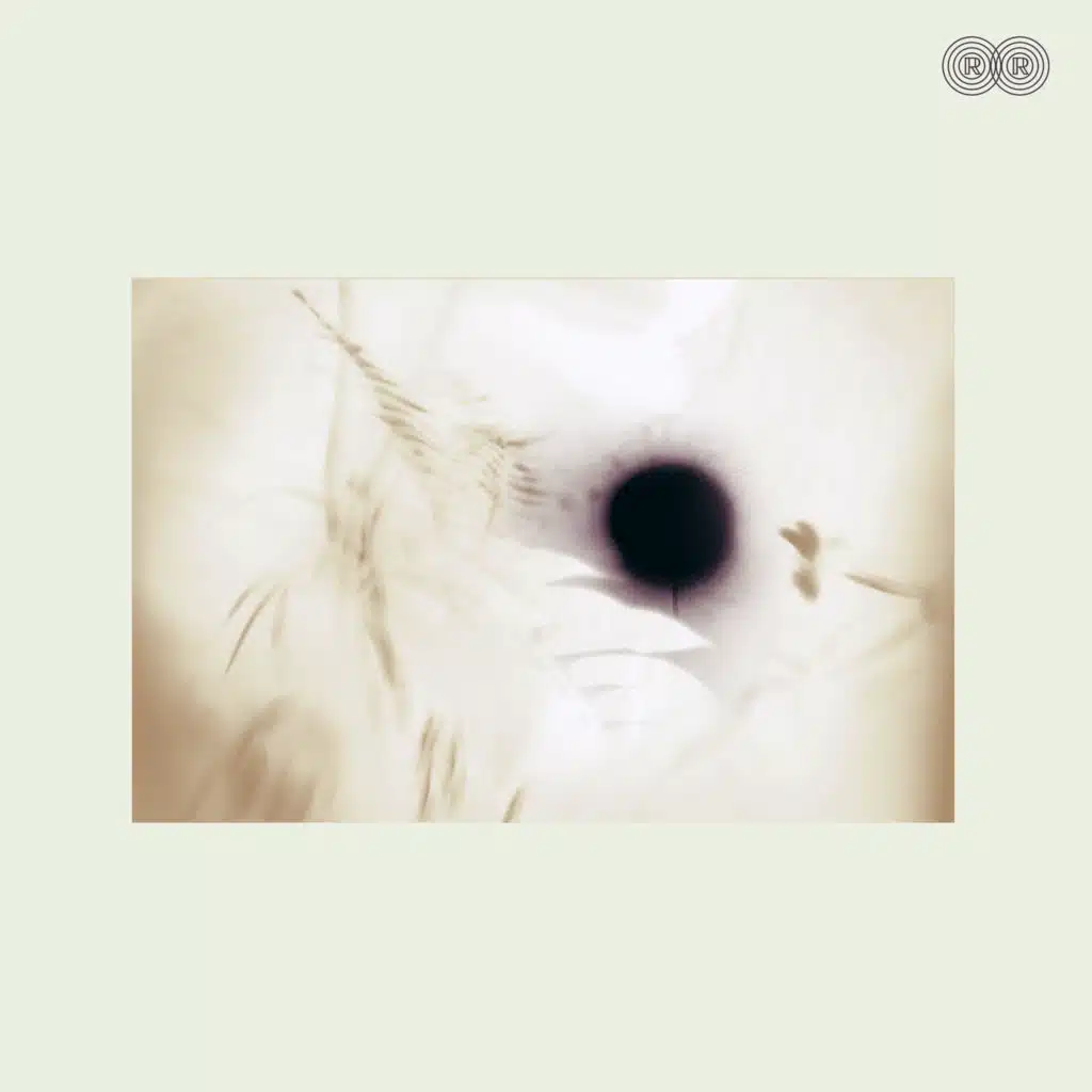 Five Hundred Fink Experience