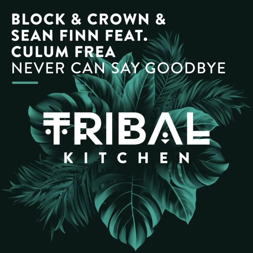 Never Can Say Goodbye (Radio Edit) [feat. Culum Frea]