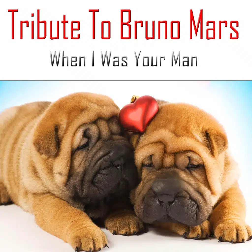 Flash Ki, Vince Benet