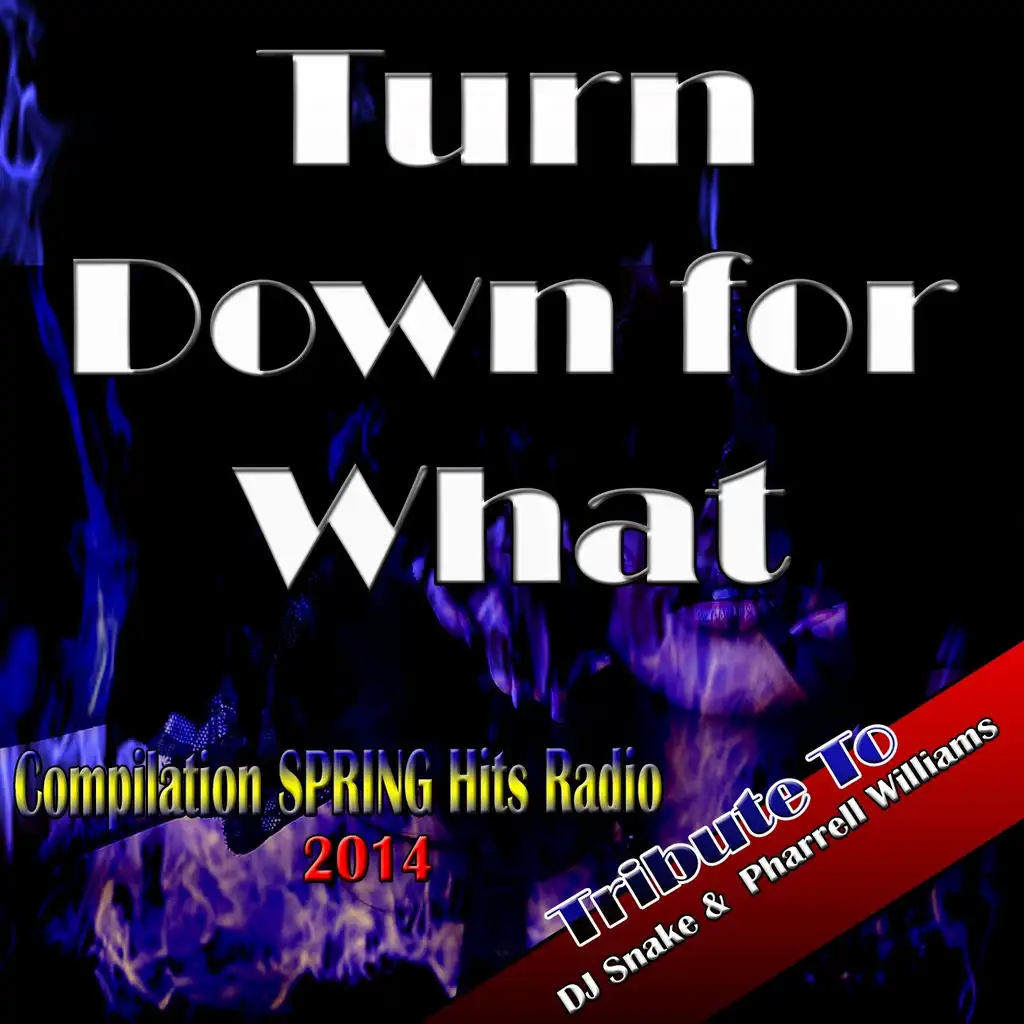 Turn Down for What (Mix Party)
