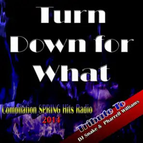 Turn Down for What: Tribute to DJ Snake & Pharrell Williams (Compilation Spring Hits Radio 2014)