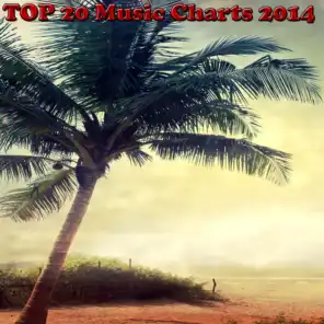 Top 20 Music Charts 2014