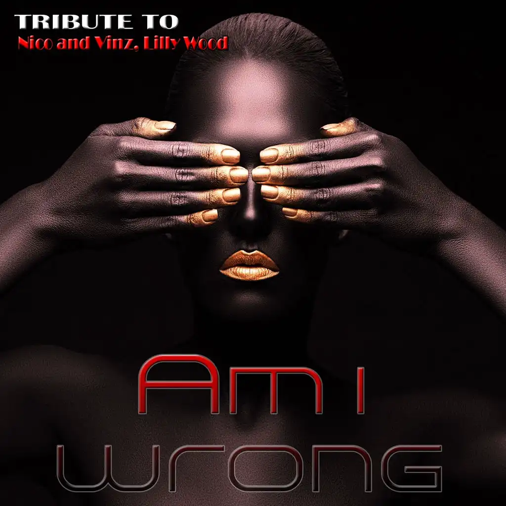Am I Wrong: Tribute To Nico & Vinz, Lilly Wood