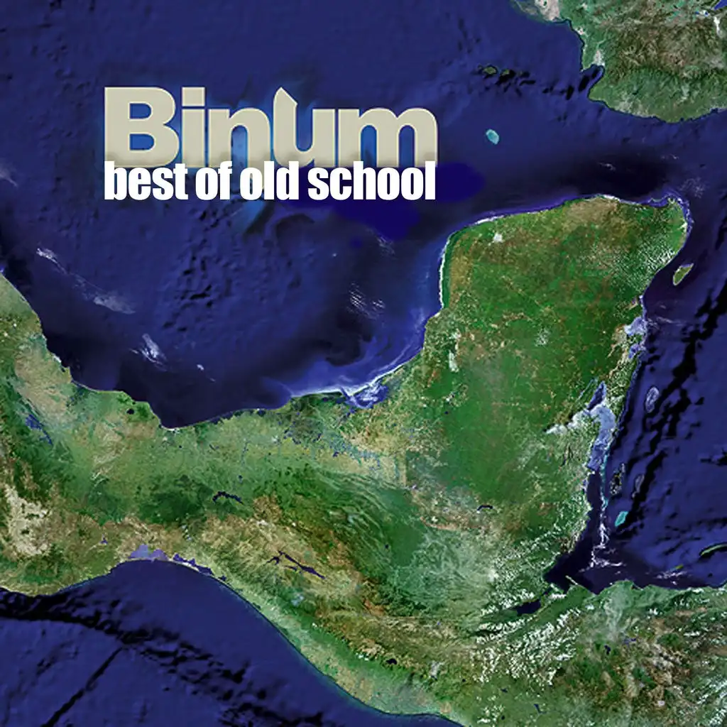 Best Of Binum Oldschool