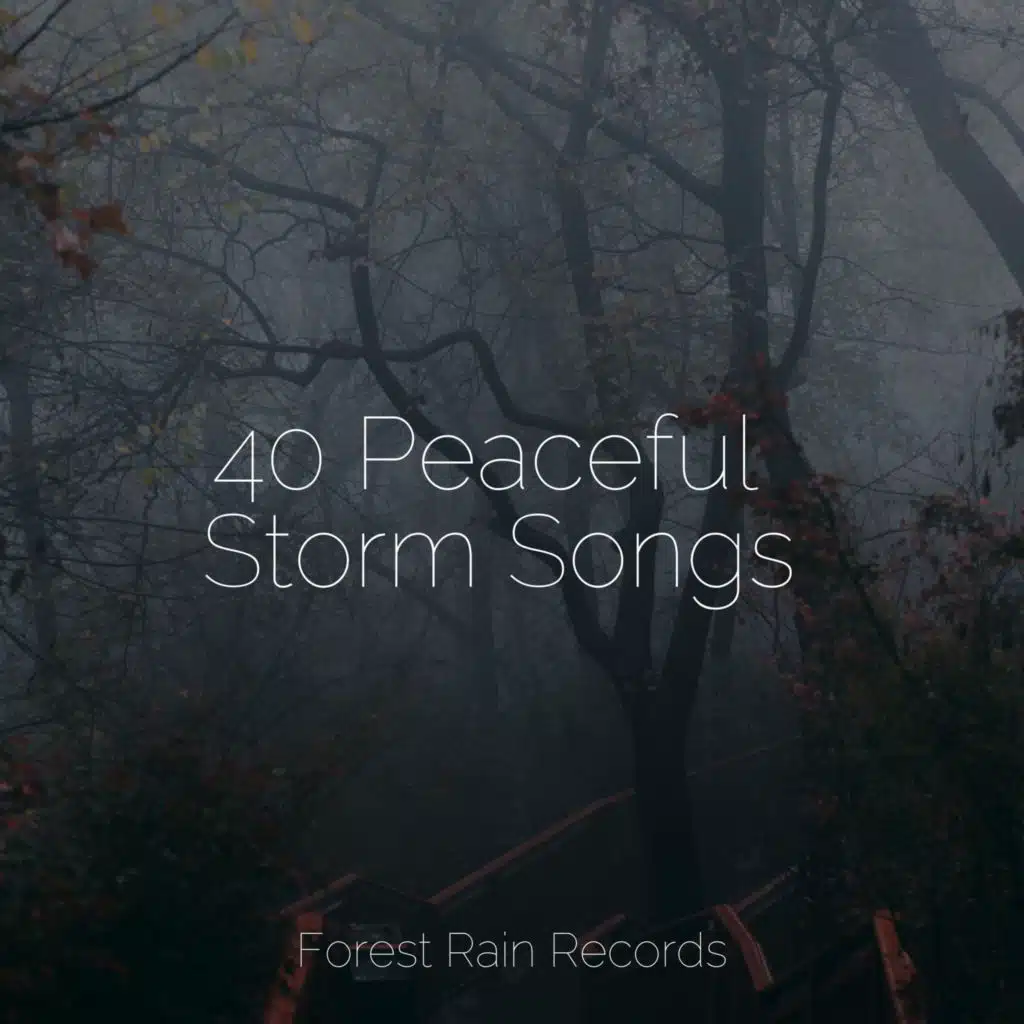 Large Waves Crashing