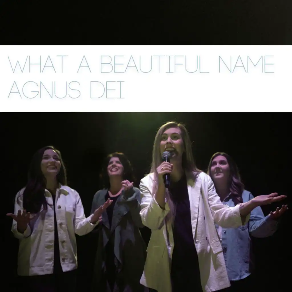 What a Beautiful/Agnus Dei (feat. Vanessa Howell)