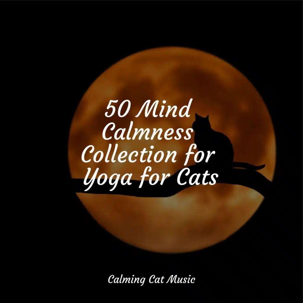 50 Mind Calmness Collection for Yoga for Cats