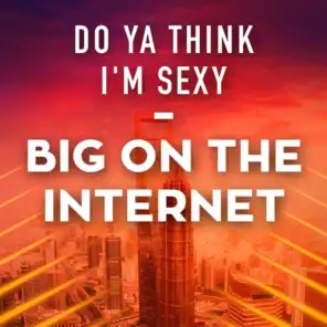 Do Ya Think I'm Sexy - Big On the Internet