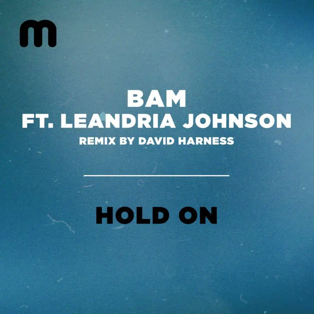 Hold On (David Harness Remix) [feat. Leandria Johnson]